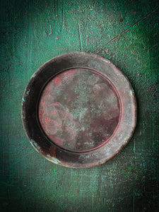 ‘Luca’ Hand-painted photography background, deep greens & red.