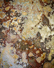 Painted Rust Steel Photography Backgrounds.