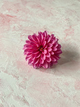 'Rosa' Hand-painted Photography Background Board - Pastel pinks and chalk white