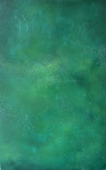 ‘Emily’ Hand-painted photography background, plaster and blended deep greens.